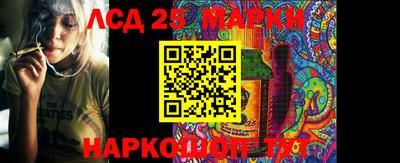 PSILOCYBIN Бийск